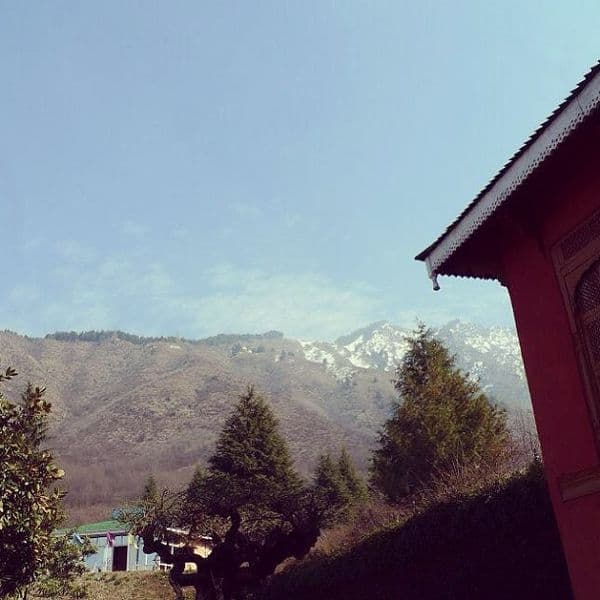 Chashme Shahi Garden