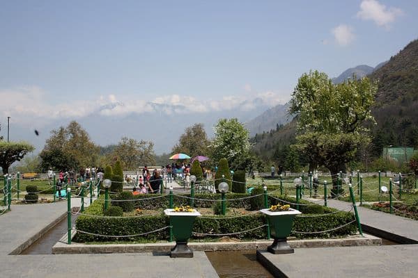 Chashme-shahi garden, Srinagar