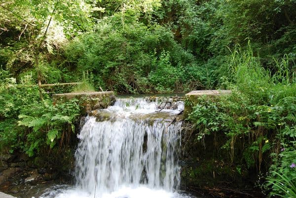 Dachigam National Park