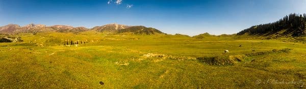 The complete view of Tosa Maidan , am image made from 32 images each of worth 20 MP.