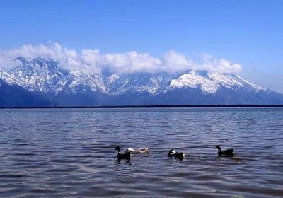Wular Lake