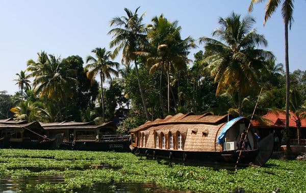 Alappuzha (Alleppey) Photo 13