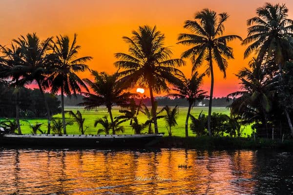 Alappuzha (Alleppey) Photo 14