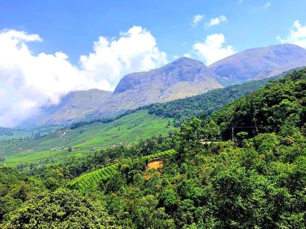 Anamudi Peak Photo 0