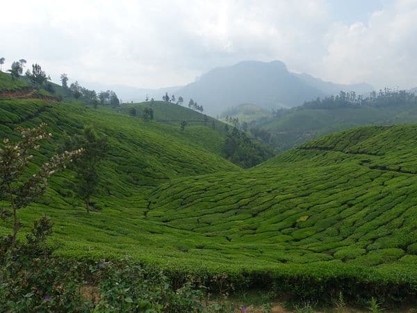 Anamudi Peak Photo 2