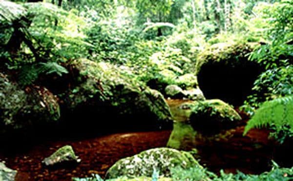 Aralam Wildlife Sanctuary Photo 0