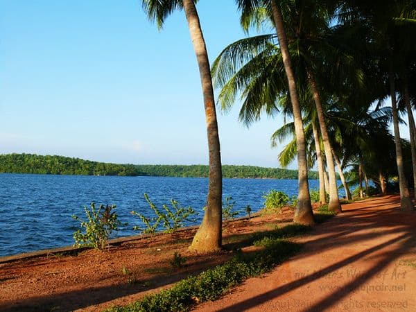 Ashtamudi Lake Photo 1