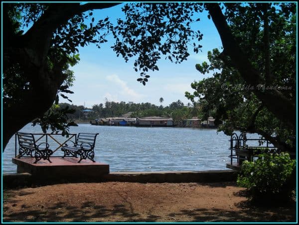 Ashtamudi Lake Photo 4