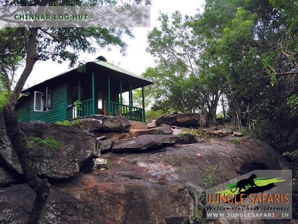 Chinnar Wildlife Sanctuary Photo 3