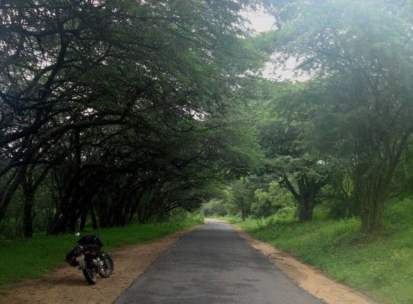 Chinnar Wildlife Sanctuary Photo 4