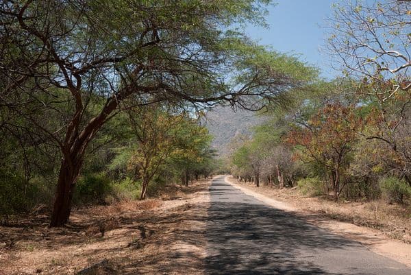 Chinnar Wildlife Sanctuary Photo 5