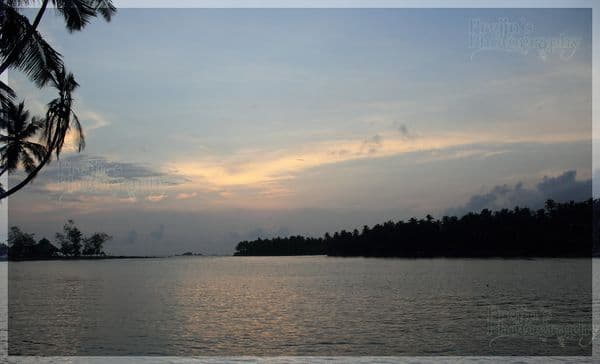 Dharmadam Island Photo 5