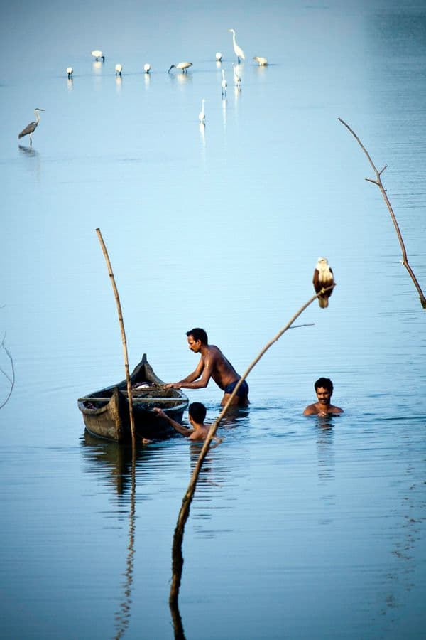 Kadalundi Bird Sanctuary Photo 0