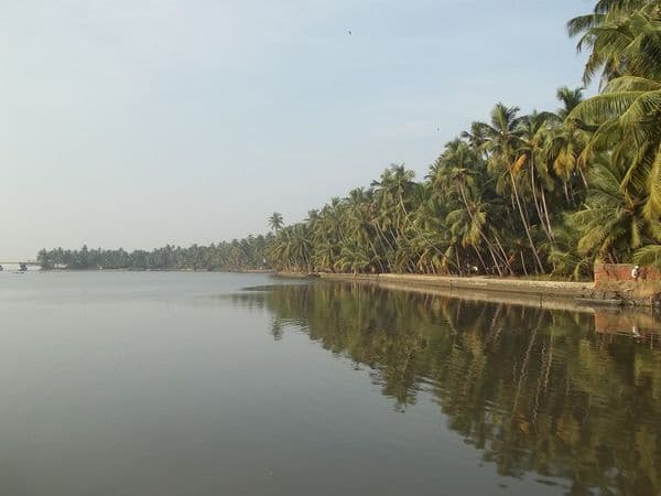 Kadalundi Bird Sanctuary Photo 1