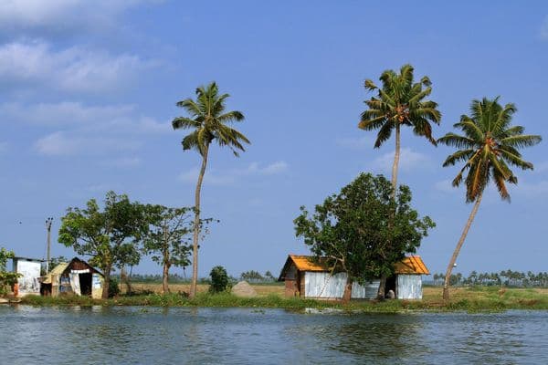 Kuttanad (Backwater Region) Photo 3