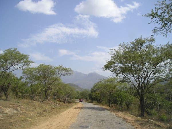 Marayoor Sandalwood Forest Photo 4