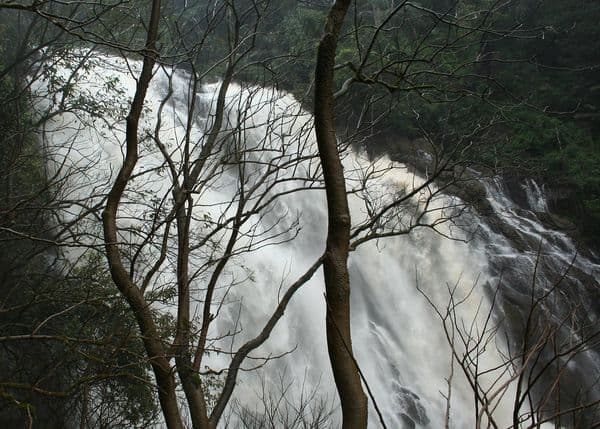 Meenmutty Falls (Wayanad) Photo 2