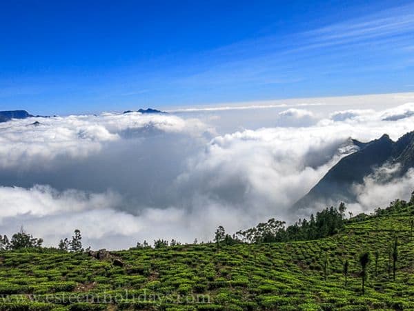 Meesapulimala Photo 4