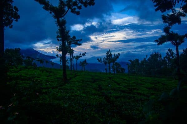 Munnar Photo 5