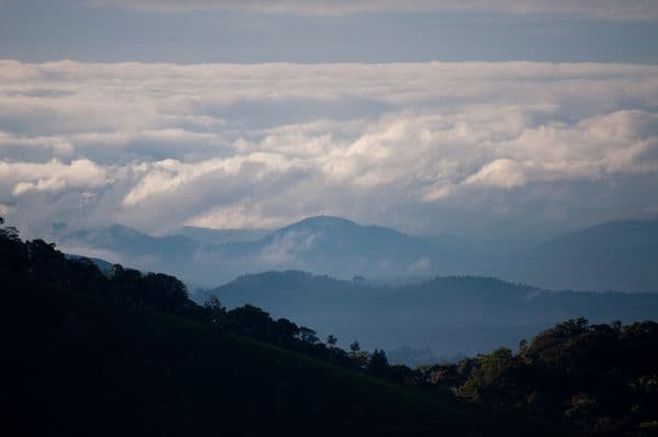Munnar Photo 9