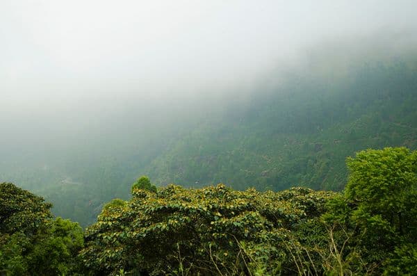 Munnar Photo 11