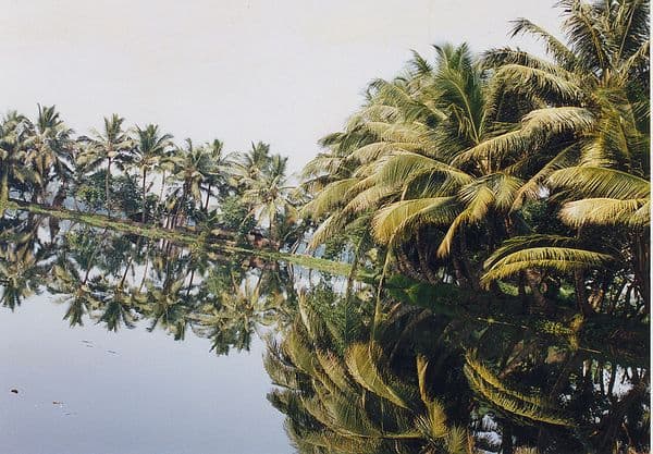 Munroe Island Photo 3