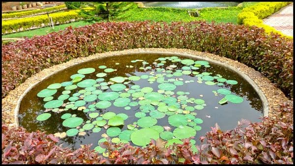 Nilambur Teak Museum Photo 0