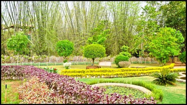 Nilambur Teak Museum Photo 2