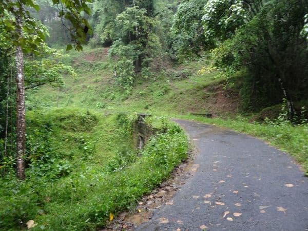 Parambikulam Tiger Reserve Photo 1