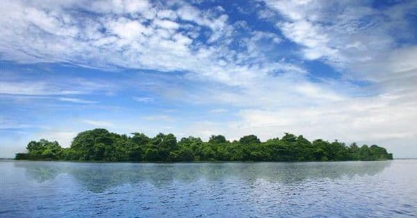 Pathiramanal Island Photo 0