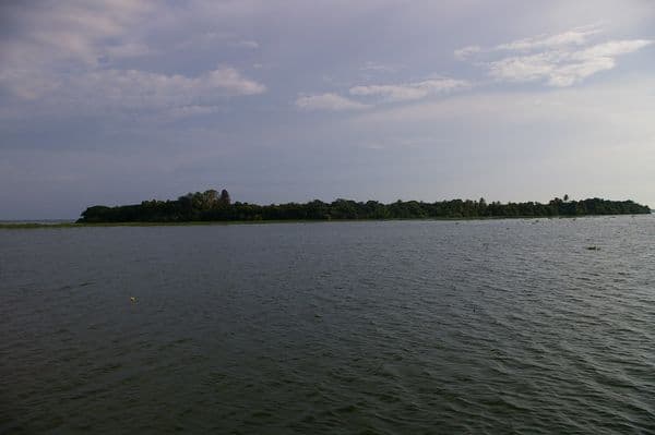 Pathiramanal Island Photo 2