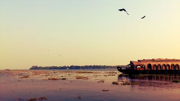 Pathiramanal Island Photo 3