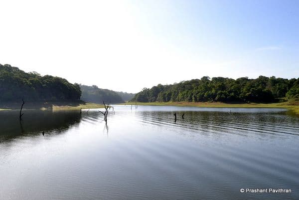 Periyar Lake Photo 4