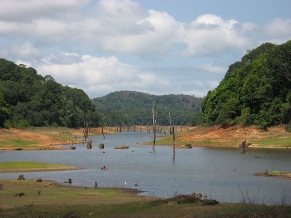Periyar Lake Photo 5