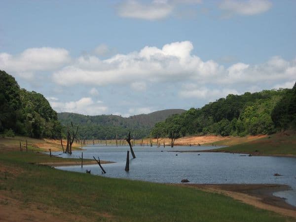 Periyar Lake Photo 6