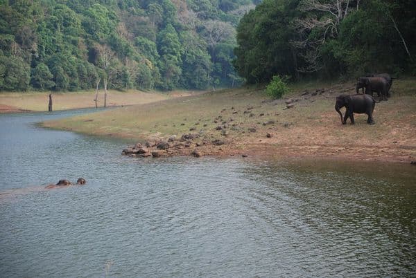 Periyar National Park Photo 0