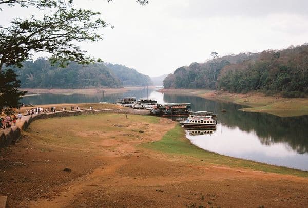 Periyar National Park Photo 3