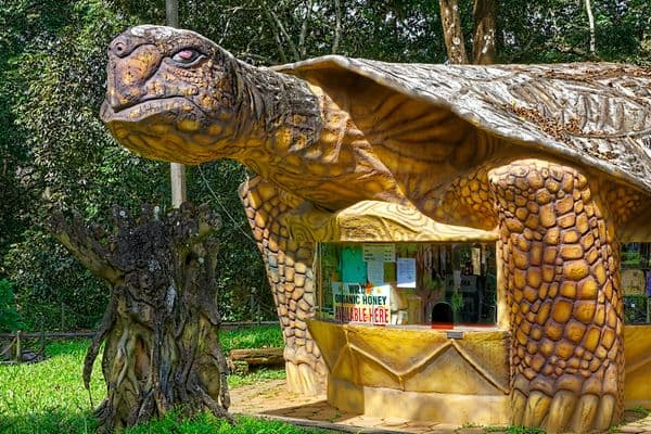 Periyar National Park Photo 4