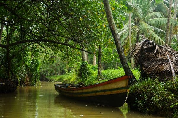 Poovar Backwaters Photo 3