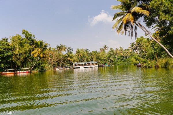 Poovar Backwaters Photo 4