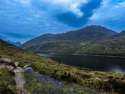 Silent Valley National Park