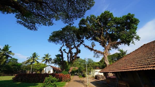Thalassery Fort Photo 3