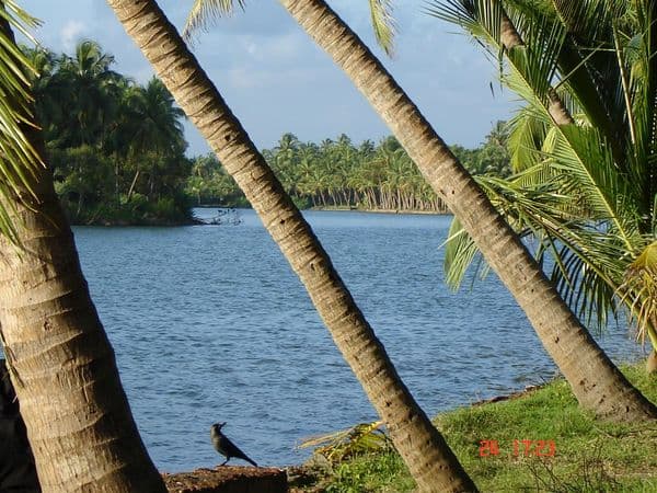 Valiyaparamba Backwaters Photo 0