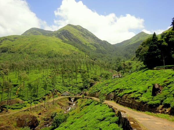 Wayanad Photo 2