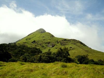 Wayanad
