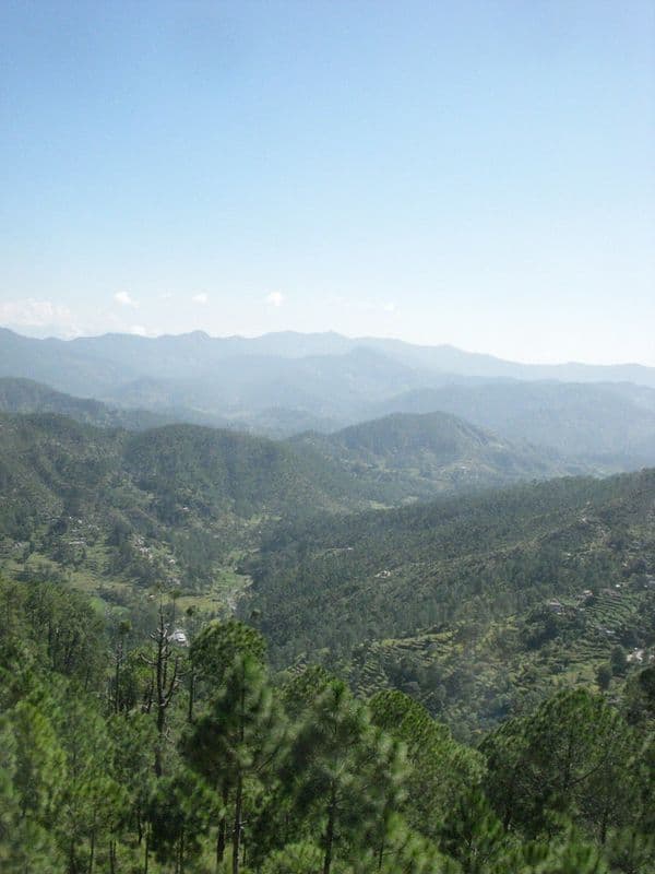 Almora Photo 3
