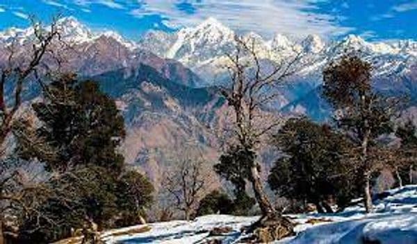 Askot Wildlife Sanctuary Photo 0