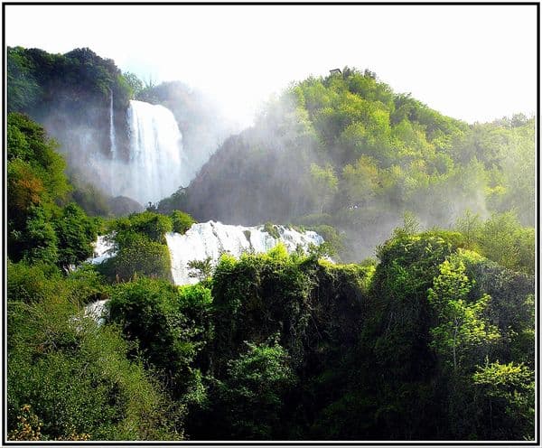 Company Garden Photo 0