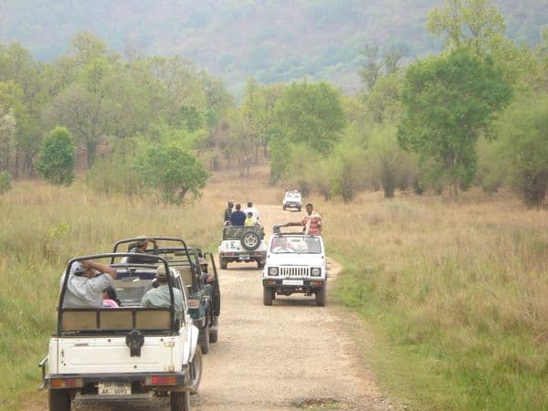 Gangotri National Park Photo 0