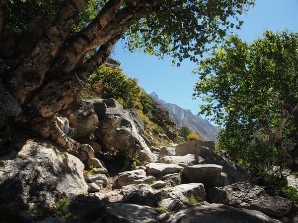 Gangotri National Park Photo 2